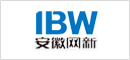 安徽網(wǎng)新